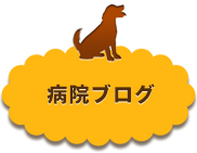 病院ブログ