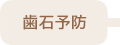 歯石予防